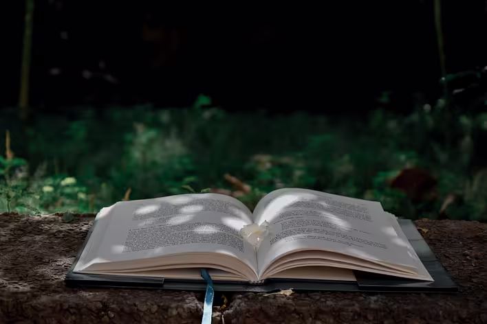 Як написати фанфік: поради та приклади