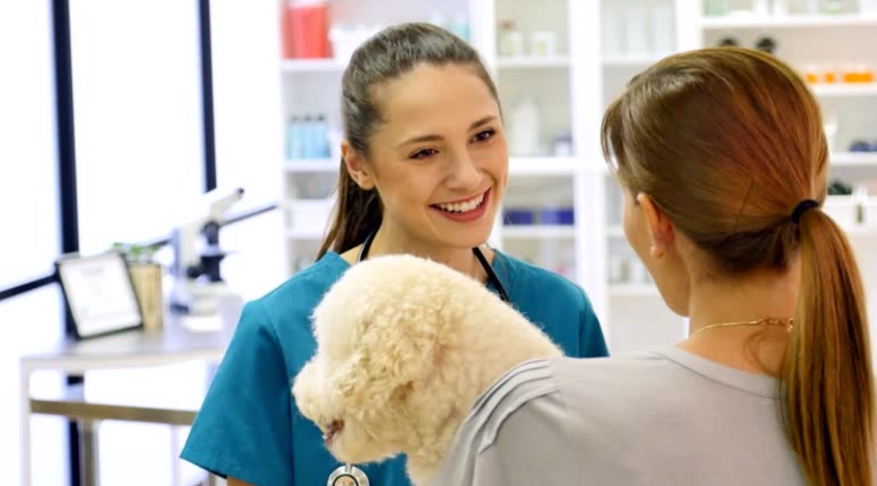 CRM for veterinary clinics