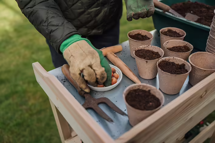 Where to find the necessary goods for the garden and vegetable garden