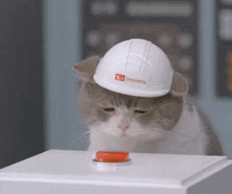 Cat Working GIF by hamlet.gif