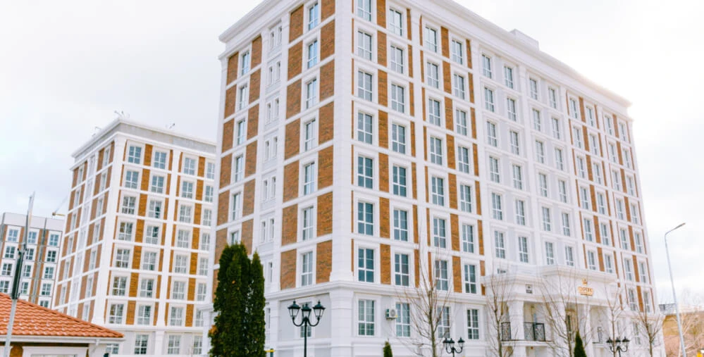 оксфорд, чайки, київ