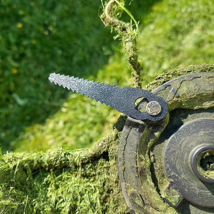 20250513_095443 Large.jpeg