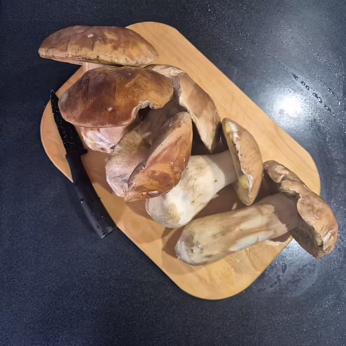 зачистили гриби