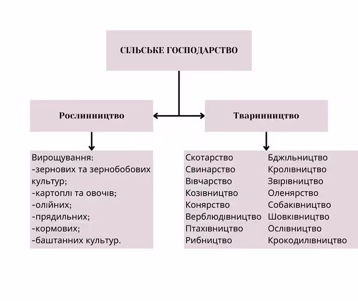 Схема сільського господарства