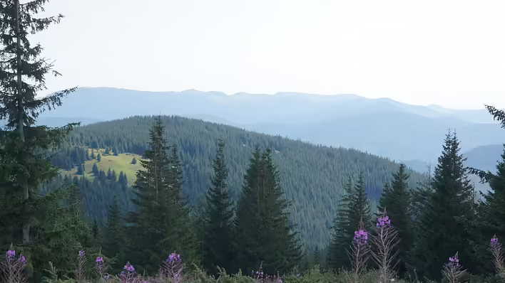 Retreat w Karpatach: najlepsze miejsca na spokój i regenerację sił