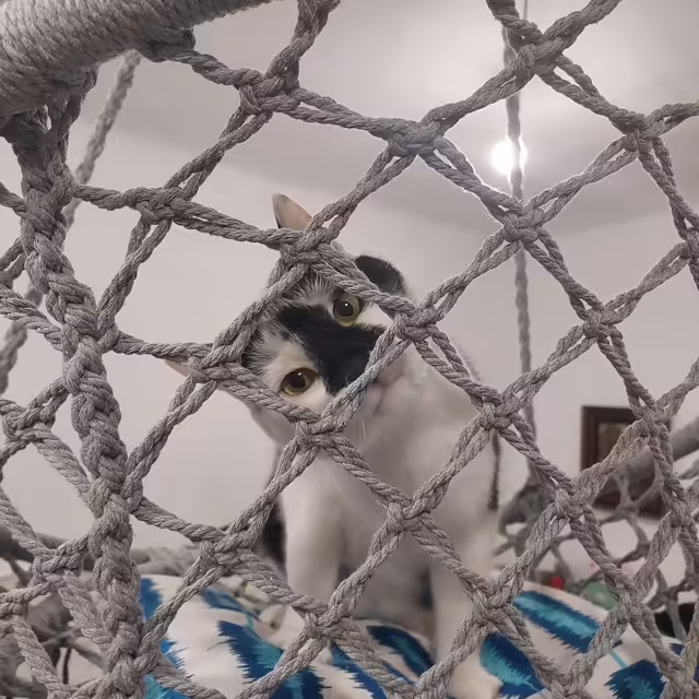 [Własne doświadczenie] Jak zawiesić huśtawkę na metalowym drążku?