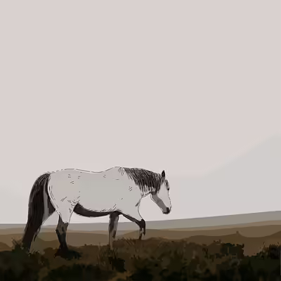 Що таке формат HEIC і чому просто перейменовувати його в .jpg — погана ідея