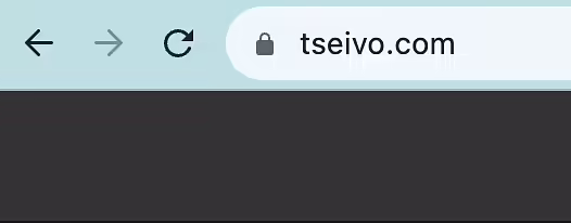 Доменне ім'я в адресному рядку браузера