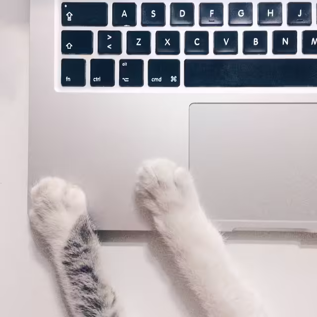 What is a prompt and prompt engineering?