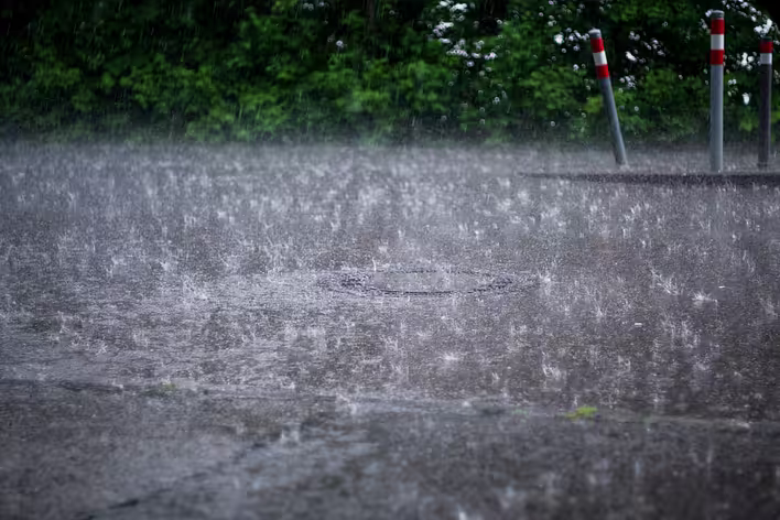 Petrichor: the magic of the smell of rain