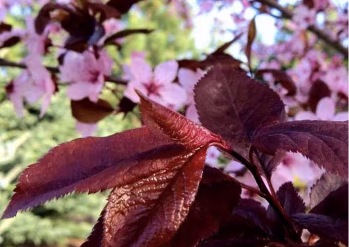 Знімок екрана 2026-04-27 о 14.28.32.png