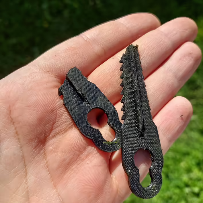 20250513_100049 Large.jpeg