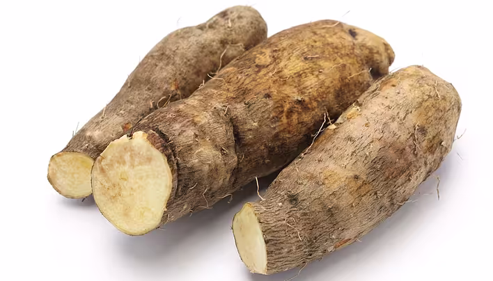 Ямс: гігантський корінь, що годує тропіки