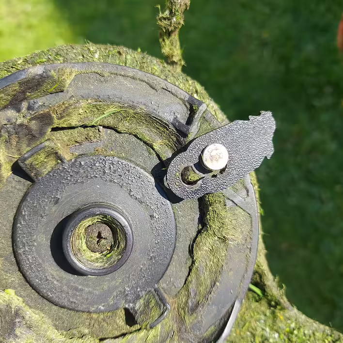 20250513_095957 Large.jpeg