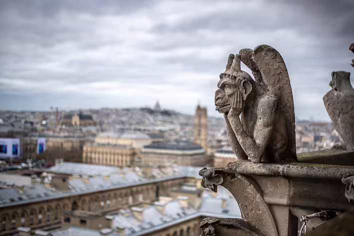 Grotesque, Notre-Dame de Paris "Джерело - www.cbs58.com"