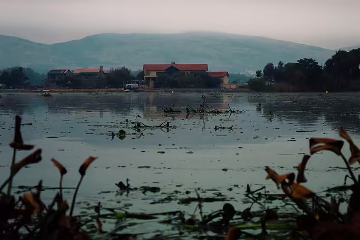 What is the Cassandra complex?