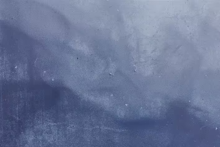 What are premises and conclusions?