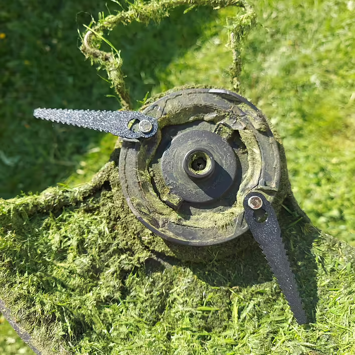 20250513_095439 Large.jpeg