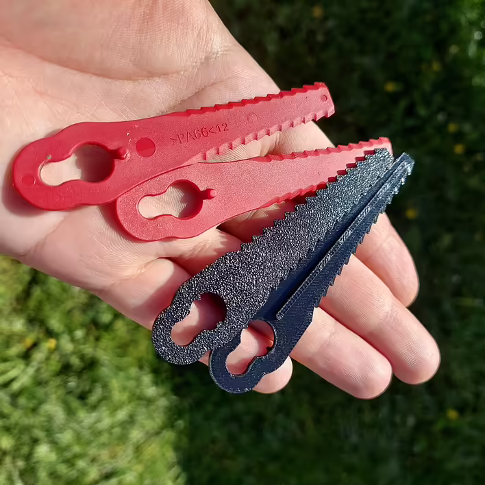 20250513_095229 Large.jpeg