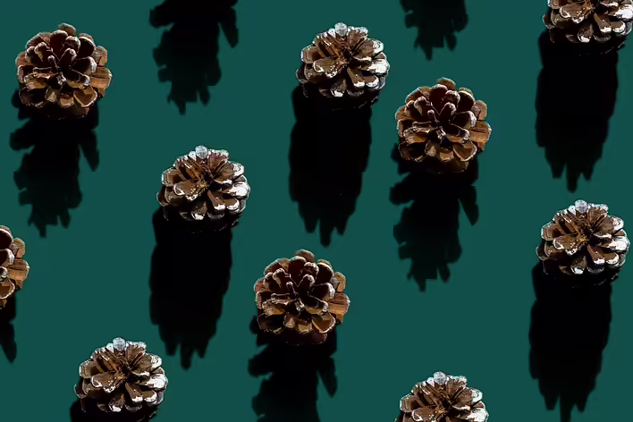 Variablen in Ruby: @, @@ und Klasseninstanzvariablen