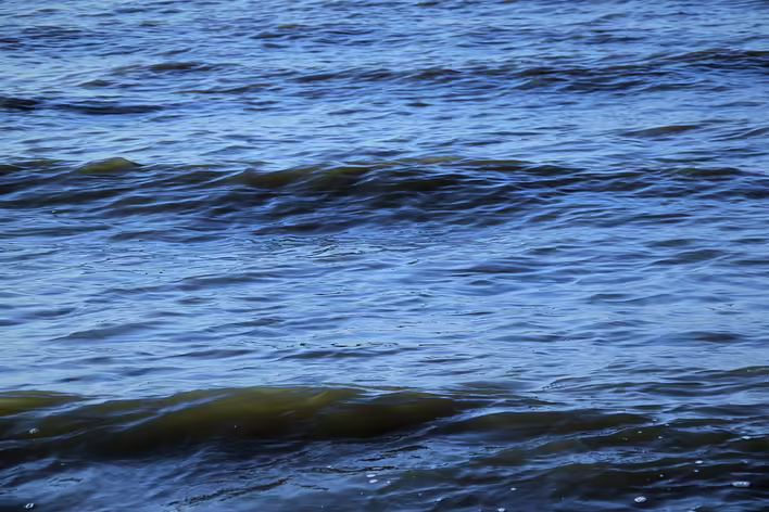 Sejsze — stojące fale w jeziorach i morzach